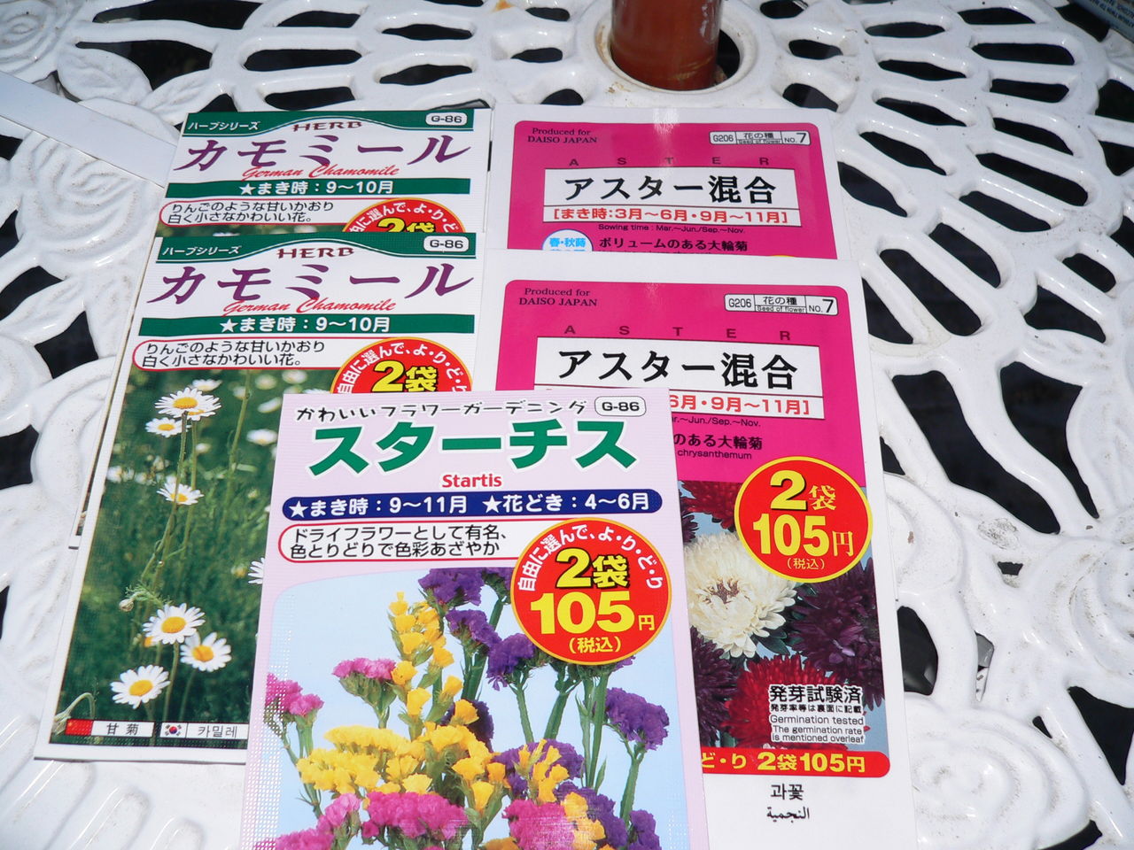 続春の花の種まきです バド菜園 バドの自然と遊ぼうゆったり菜園らいふ 続春の花の種まきです バド菜園 バドの自然と遊ぼうゆったり菜園らいふ
