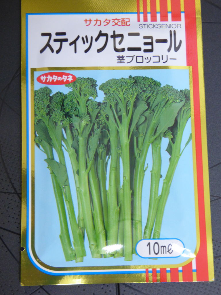 茎ブロッコリー スティクセニョール を購入 バド菜園 バドの自然と遊ぼうゆったり菜園らいふ