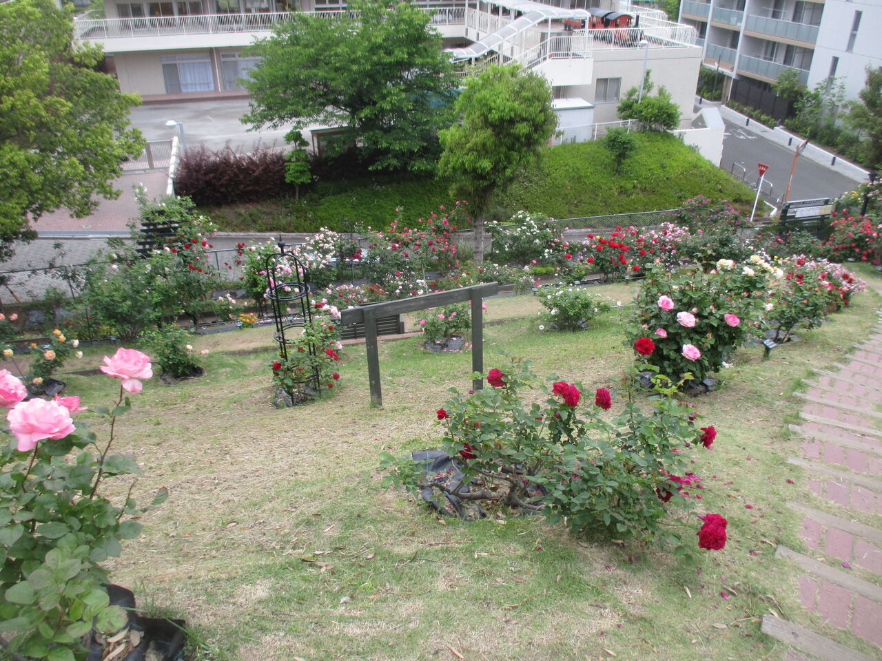 21年05月07日 ちょっと広めの家庭菜園