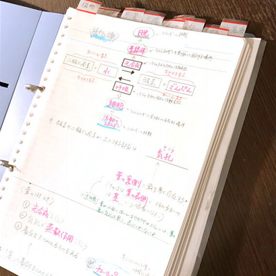 公開 これが理科暗記ノート とまコの 泥だらけお受験日記
