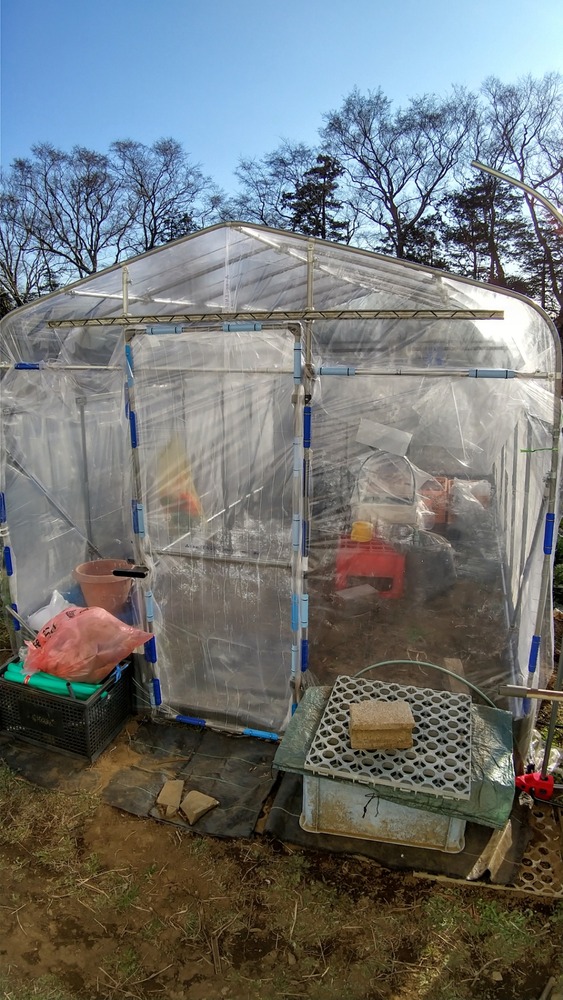 ビニールハウス　コメリ豊作ベジハウス 家庭菜園ビニール温室（コメリの豊作ベジハウス）完成 : スーの家の