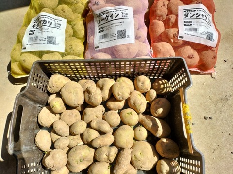 IMG20250320111144