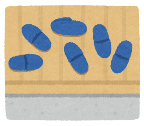 shoes_slipper_barabara