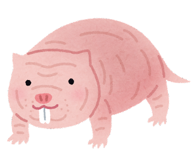 animal_hadaka_debanedumi