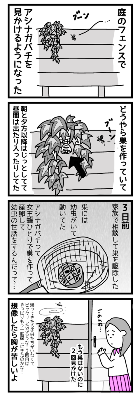 ハチの巣を駆除したら中にハチの子がいたんだ