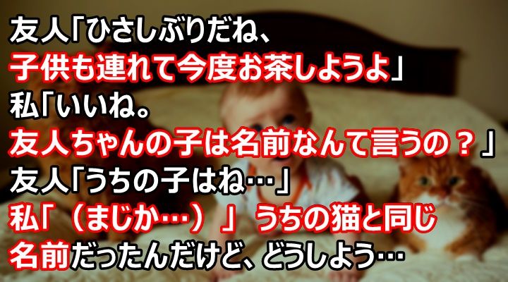 友人 ひさしぶりだね 子供も連れて今度お茶しようよ 私 いいね 友人ちゃんの子は名前なんて言うの 友人 うちの子 はね 私 まじか うちの猫と同じ名前だったんだけ 暇つぶしの読みものまとめ