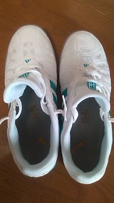 バネインソールINアディダス2