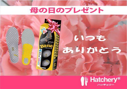 母の日(1)520