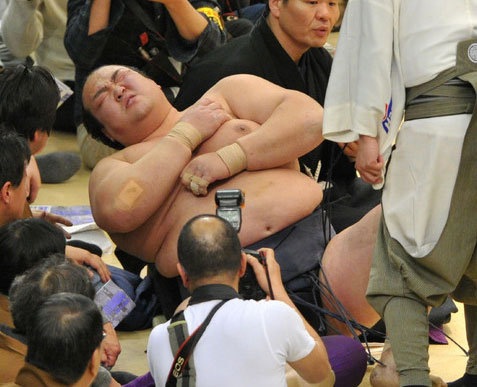 引用画像