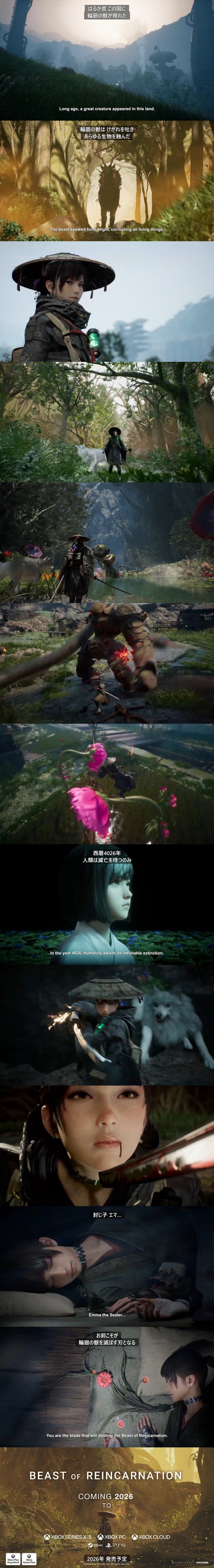 ddd
