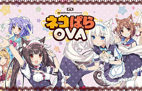 引用画像