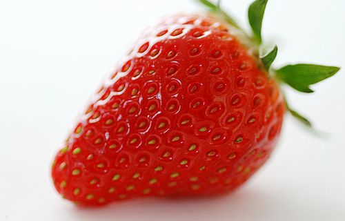 恐怖画像 いちごの表面のツブツブが全部発芽するとどうなるか そのレア個体がこちら うわああああああ はちま起稿