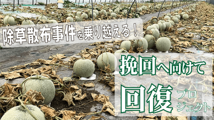 引用画像