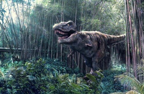 2021y04m11d_061013035