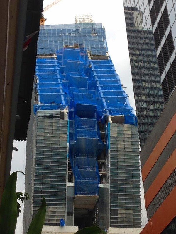 引用画像
