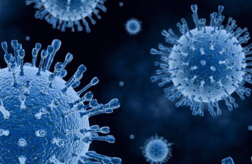 2021y01m12d_072038947