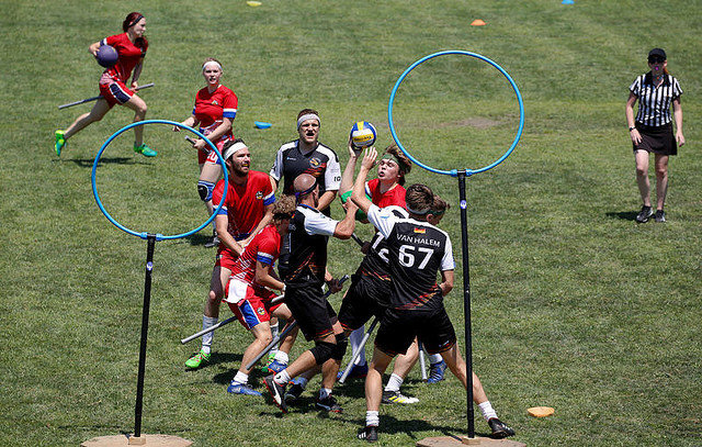 2eade_769_7a5df66c4f21efb86b71602e224261bf