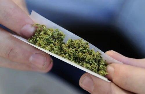 オエェ 大麻合法の国に住むvtuber 大麻は腐った白菜で包んだカメムシをガソリンで煮詰めた臭い はちま起稿 オエェ 大麻合法の国に住むvtuber 大麻は腐った白菜で包んだカメムシをガソリンで煮詰めた臭い はちま起稿