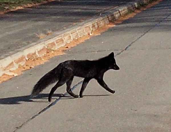 20131126003709_1_1