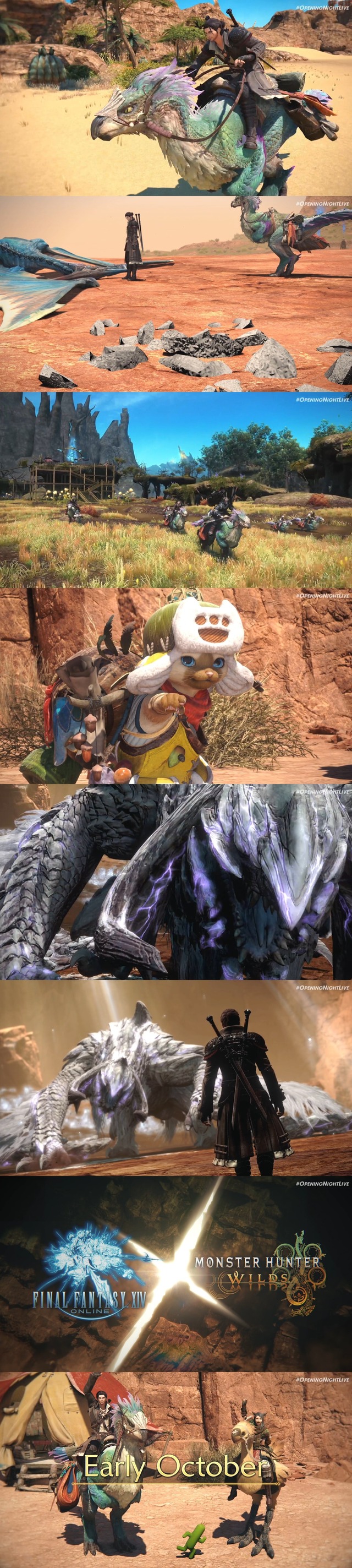 dddd