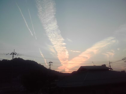 img (1)