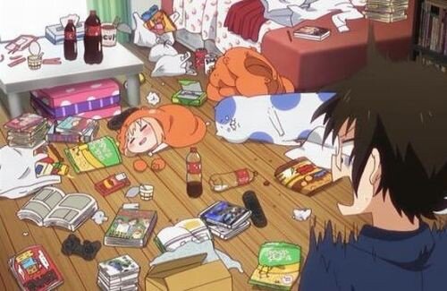 部屋の散らかりは許せるけど が汚いのは許せない