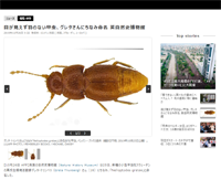 ダウンロード (1)