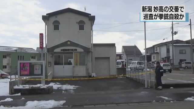 引用画像