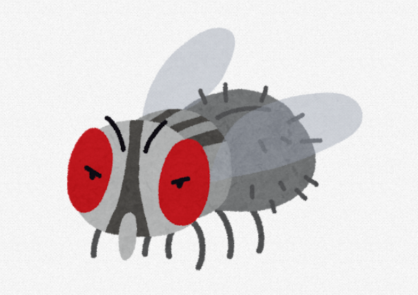 2ab0faa2.png