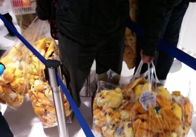 235797911-1418395130_l