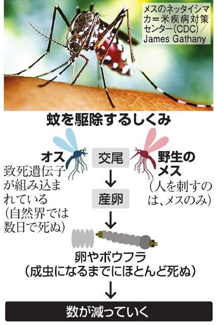 現代科学の粋を集めて誕生した「蚊を絶対に殺す技術」が凄すぎる : はちま起稿