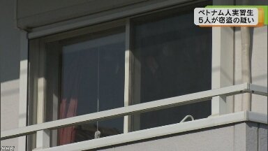 引用画像