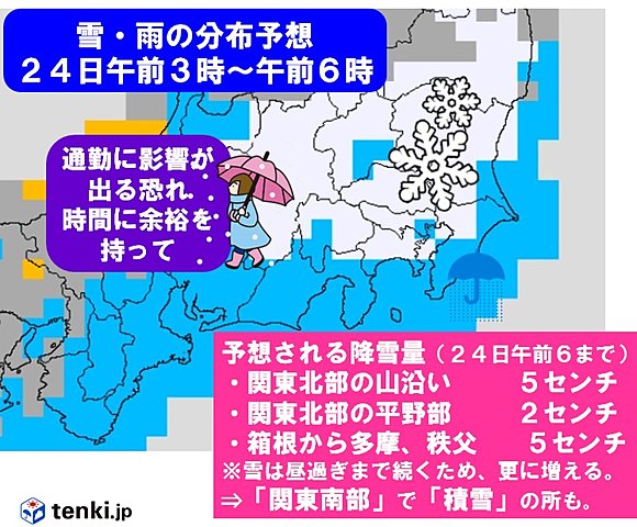 引用画像