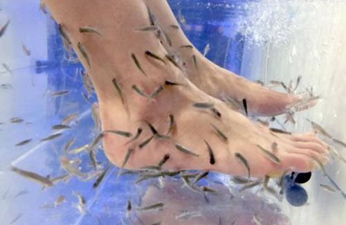 恐怖注意 ドクターフィッシュに顔の角質も食べてもらお パチャン 水槽に顔を突っ込んだ結果 うわああああ はちま起稿 恐怖注意 ドクターフィッシュに顔の角質も食べてもらお パチャン 水槽に顔を突っ込んだ結果 うわああああ はちま起稿