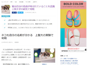名称未設定 7
