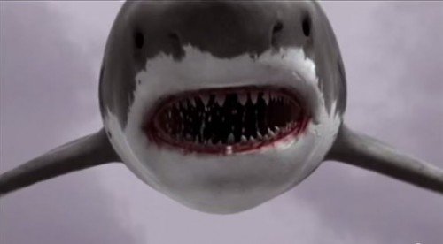sharknade2-500x276