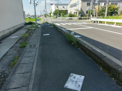 引用画像