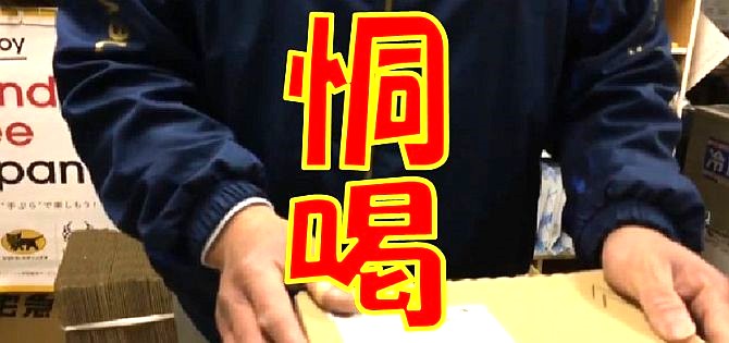 引用画像