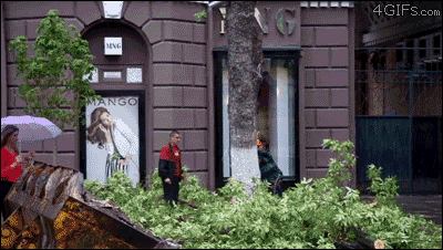 tumblr_mwc2697gDL1qdlh1io1_400