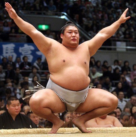 引用画像