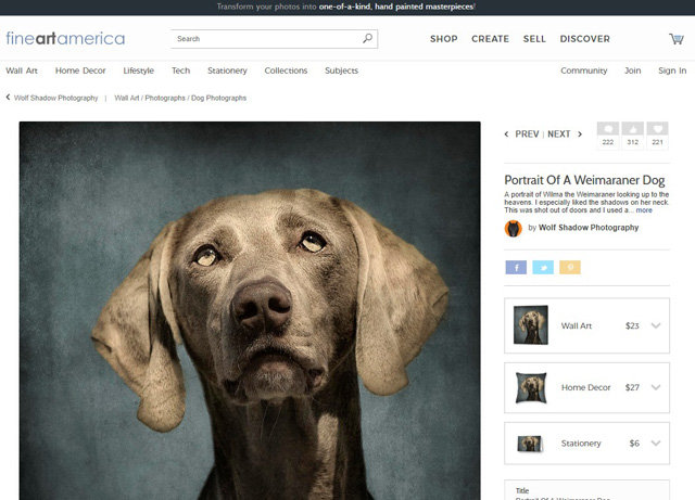 fineartamerica.com_feature