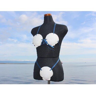 2021y09m23d_202129514