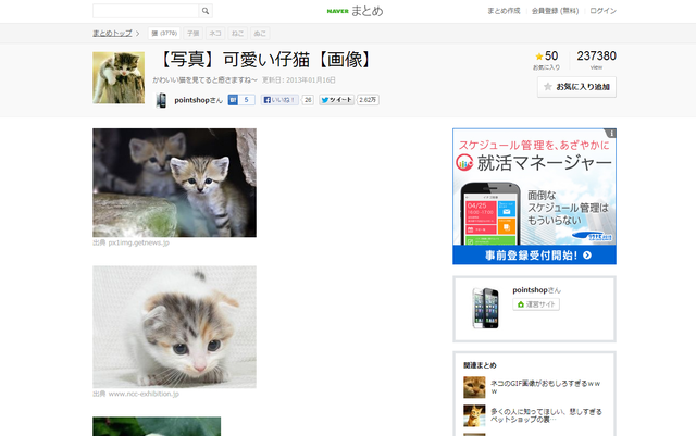 【写真】可愛い仔猫【画像】   NAVER まとめ