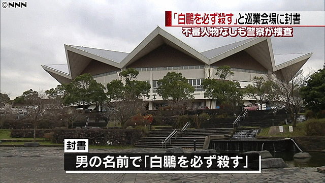 引用画像