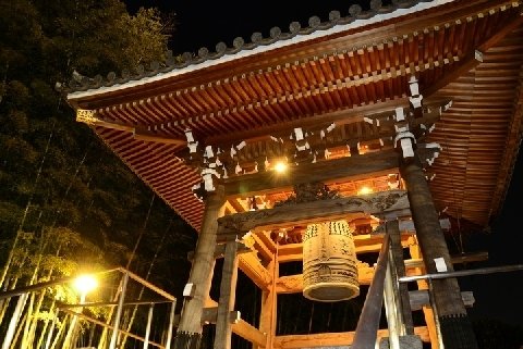 引用画像