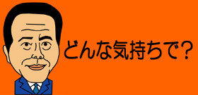 引用画像