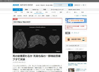 2019y04m18d_230744742