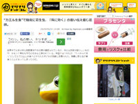名称未設定 1