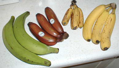 Bananavarieties