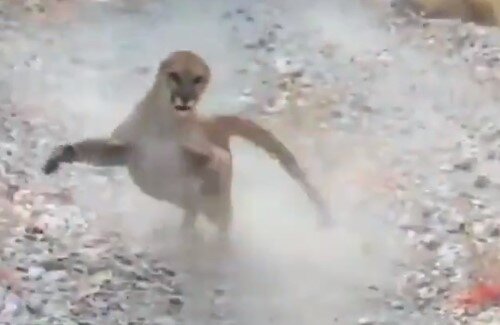 2020y10m14d_084629742